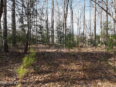 Tiny photo for 519 Winding Branch Road, Hampstead, NC 28443 (MLS # 100556316)