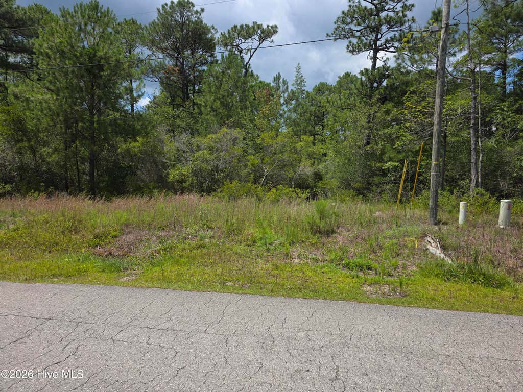 Photo of 1827 Juniper Road, Southport, NC 28461 (MLS # 100593498)