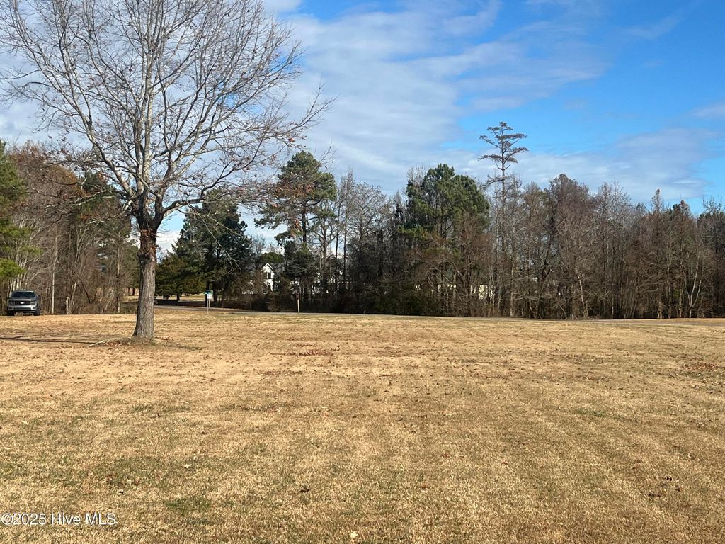 Photo of 446 Pointe Vista Drive, Elizabeth City, NC 27909 (MLS # 100546153)