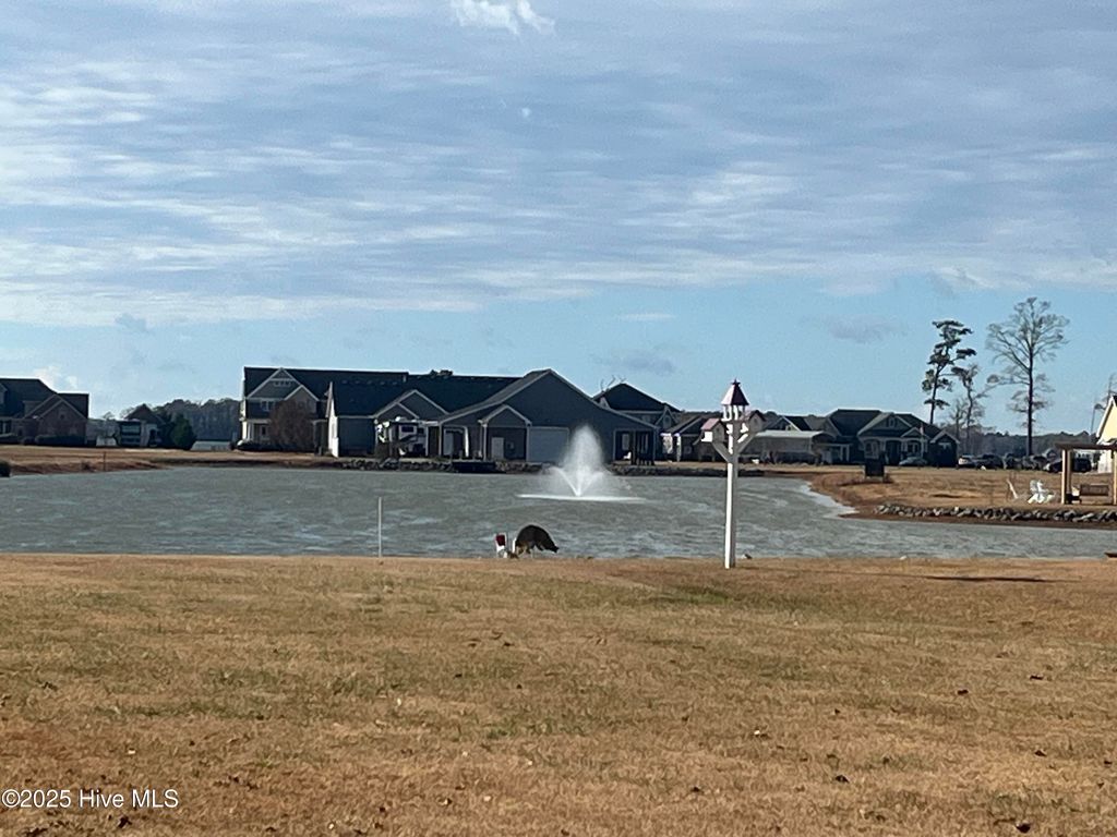 Photo of 446 Pointe Vista Drive, Elizabeth City, NC 27909 (MLS # 100546153)