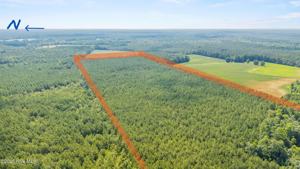 Photo of 0 Near 8944 Chauncey Town Rd, Lake Waccamaw, NC 28450 (MLS # 100593782)