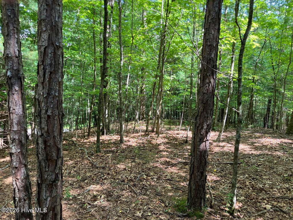 Photo of 11 Green Cove Circle, Murphy, NC 28906 (MLS # 100593735)