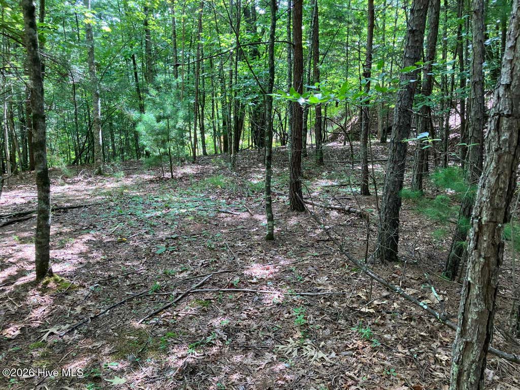 Photo of 11 Green Cove Circle, Murphy, NC 28906 (MLS # 100593735)