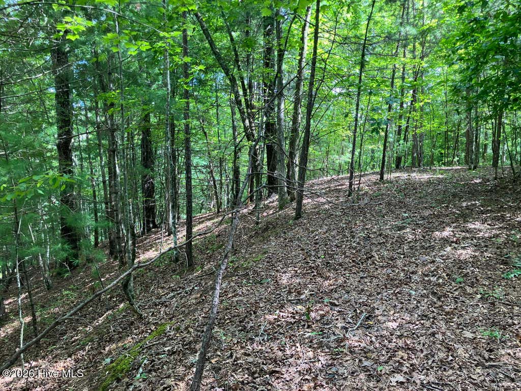 Photo of 11 Green Cove Circle, Murphy, NC 28906 (MLS # 100593735)