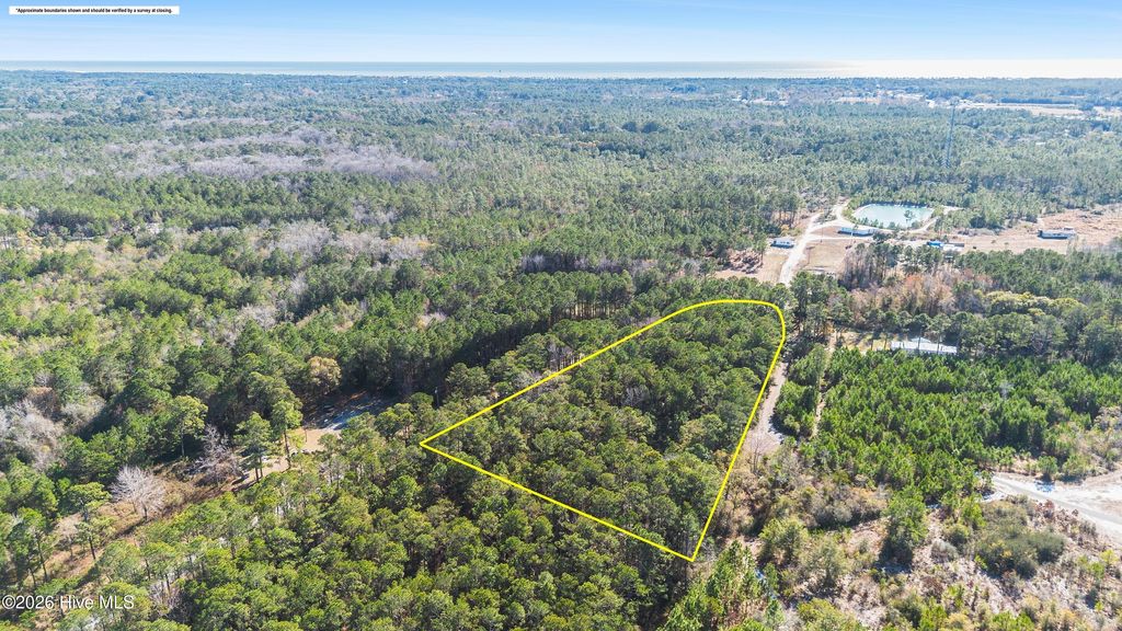 Photo of 1823 Grissett Road SW, Supply, NC 28462 (MLS # 100549916)