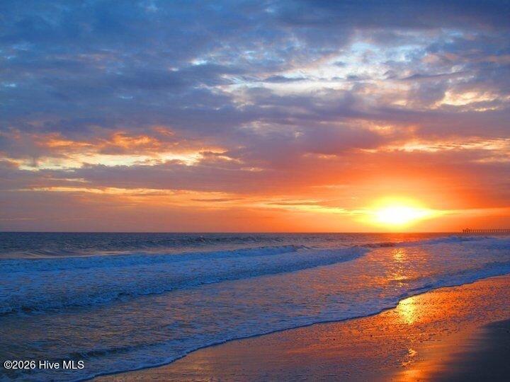 14 202 Mourning Warbler Trail