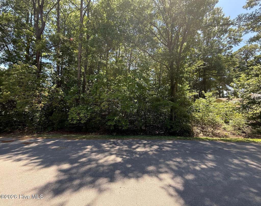 Photo of 0 Clydes Drive, Williamston, NC 27892 (MLS # 100587680)