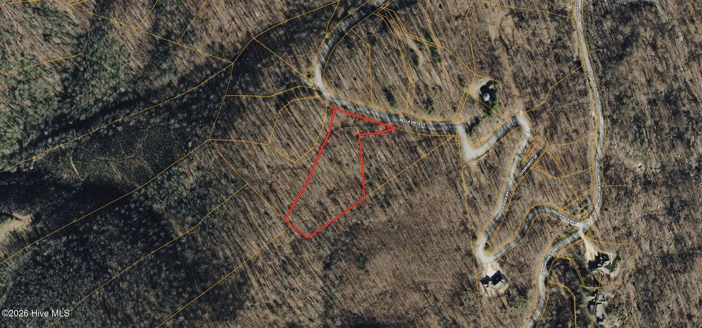 Photo of 141 Bella Vista Court, Zirconia, NC 28790 (MLS # 100573645)