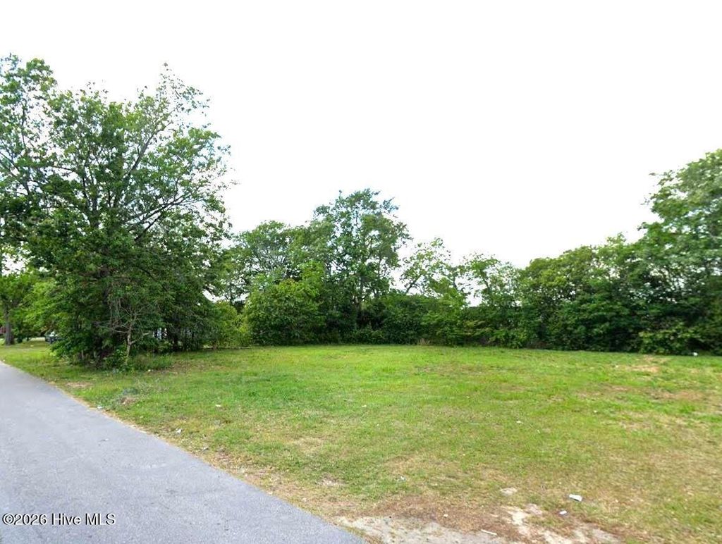 Photo of 2312 Burke Street, Lumberton, NC 28358 (MLS # 100571115)