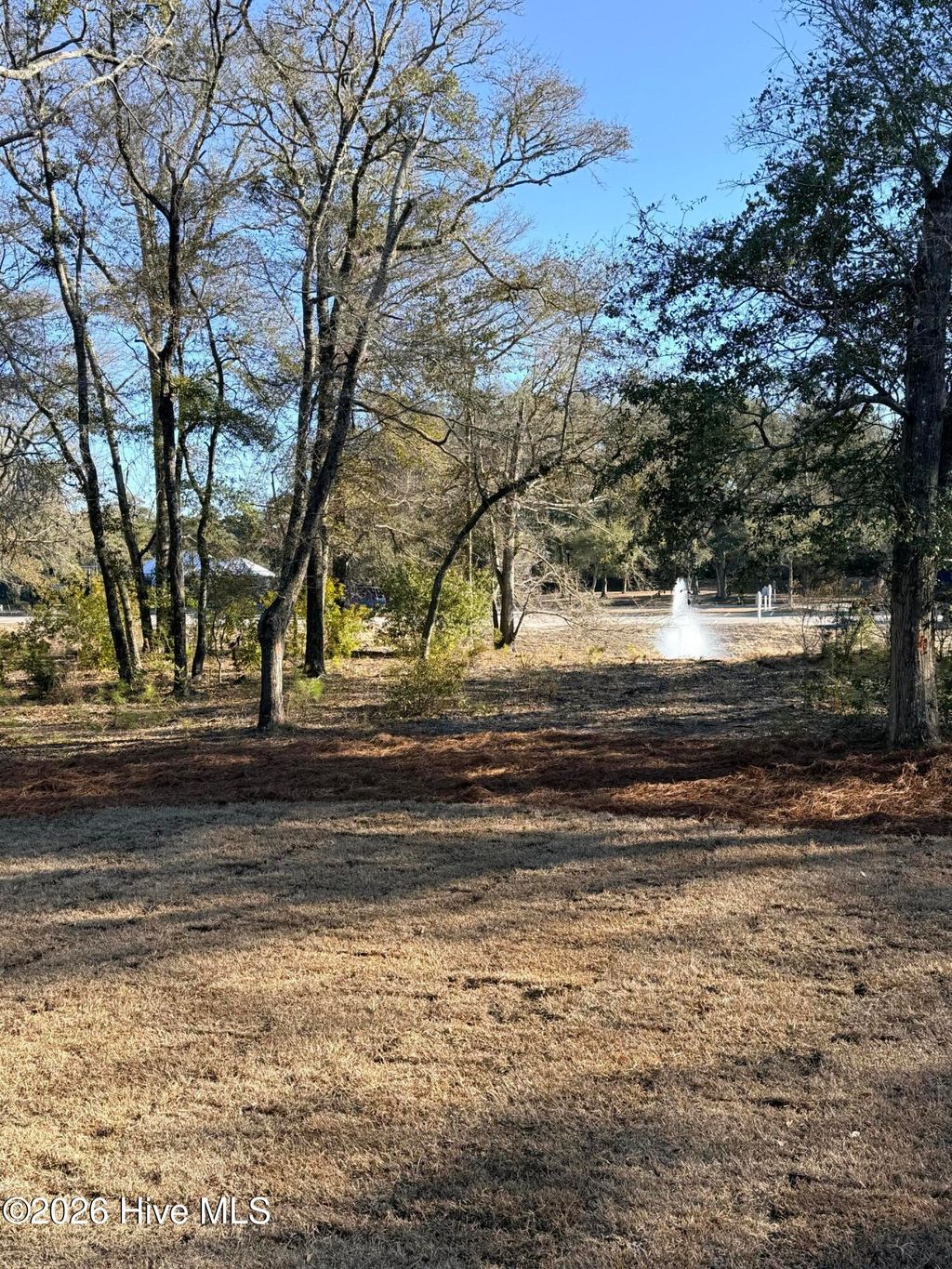 Photo of 1997 Redfish Run SW, Supply, NC 28462 (MLS # 100558797)