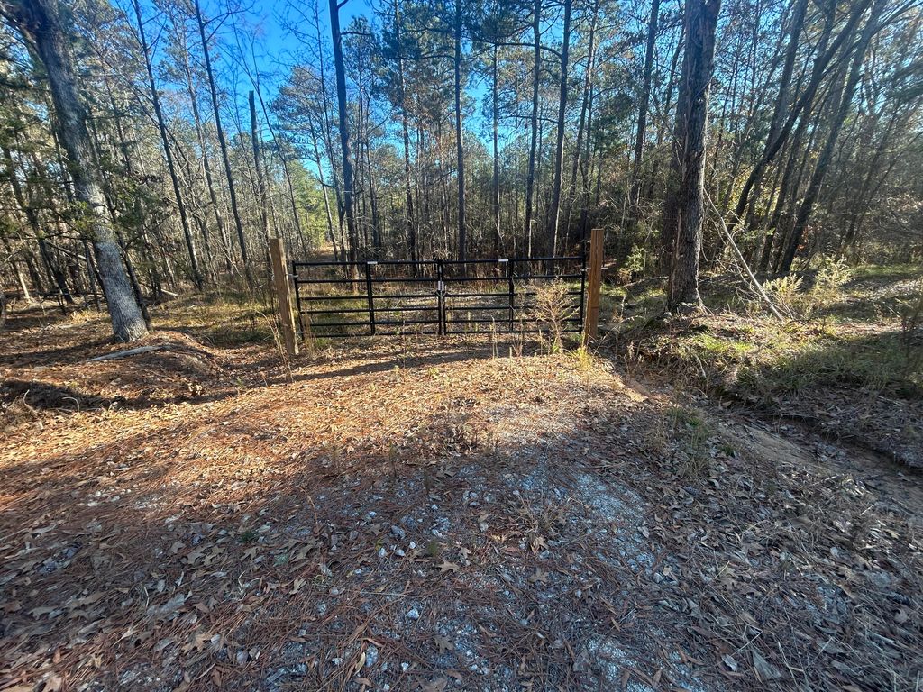 Photo of 901 Hwy 220 E, Lincolnton, GA 30817 (MLS # 550305)