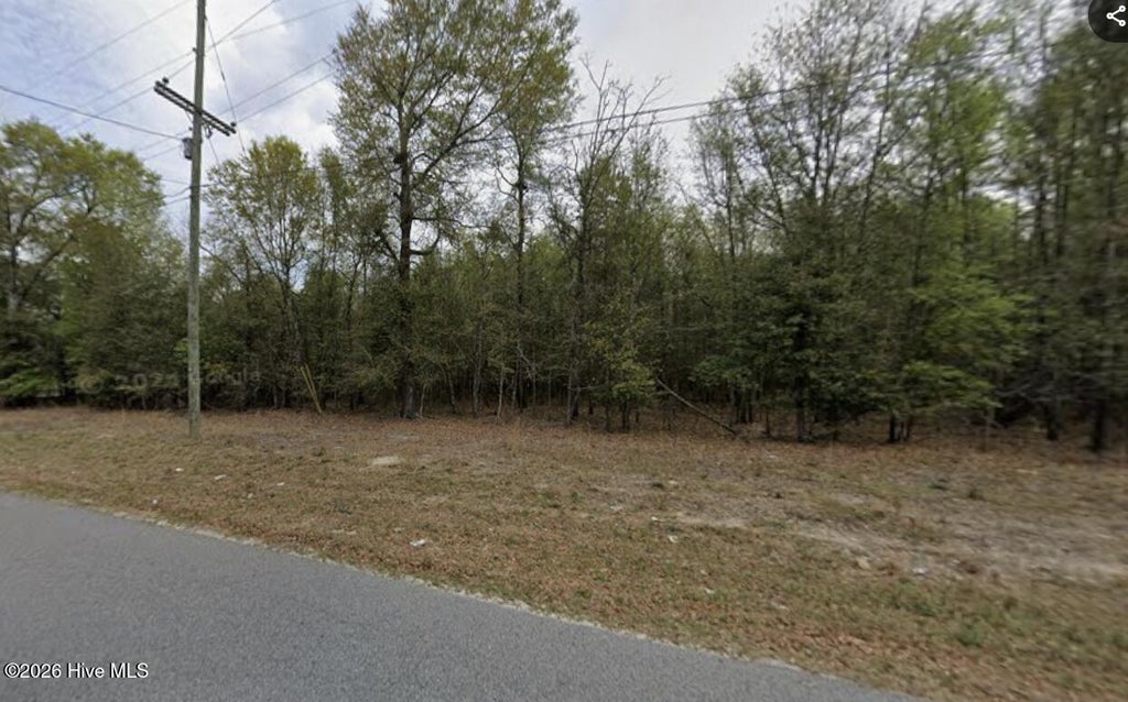 Photo of 10 Turning Leaf Ln, Barnwell, SC 29812 (MLS # 100610636)