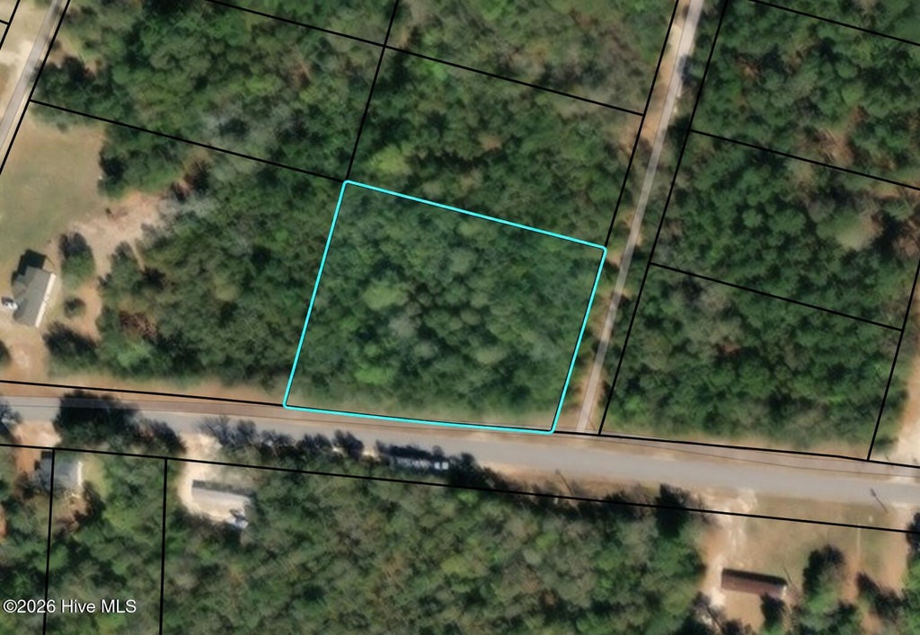 Photo of 10 Turning Leaf Ln, Barnwell, SC 29812 (MLS # 100610636)