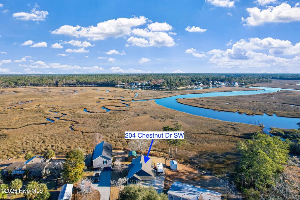 Photo of 204 Chestnut Drive SW, Supply, NC 28462 (MLS # 100545993)