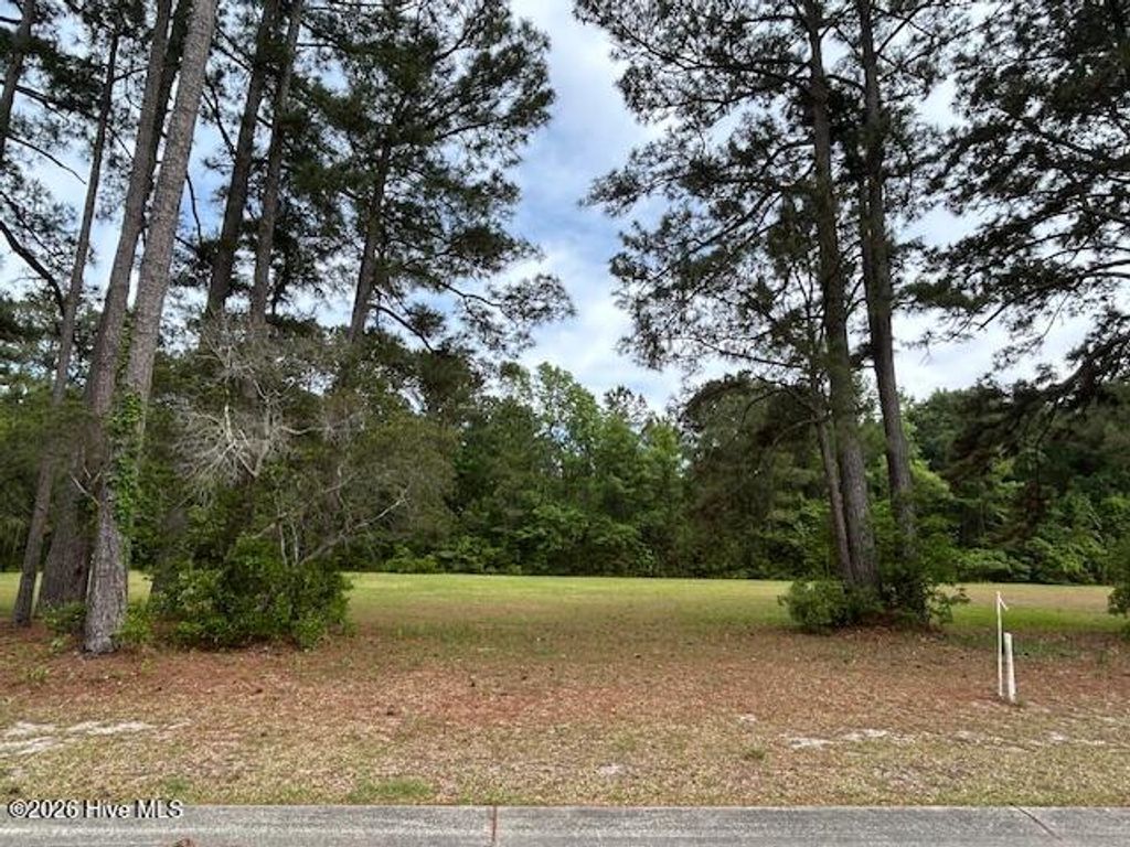 Photo of 597 Lindgrove Place SW, Ocean Isle Beach, NC 28469 (MLS # 100510884)