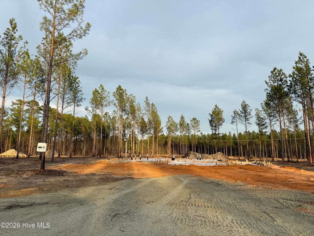 Photo of Tbd Doubs Chapel Road #Lot 3, West End, NC 27376 (MLS # 100553291)