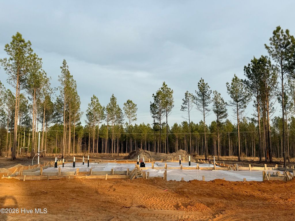 Photo of Tbd Doubs Chapel Road #Lot 3, West End, NC 27376 (MLS # 100553291)