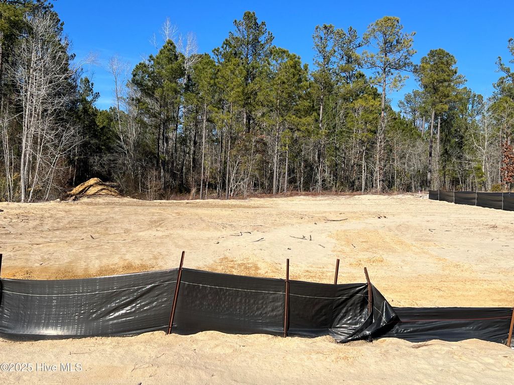 Photo of 2907 W Timber Crest Lane NE, Leland, NC 28451 (MLS # 100497512)