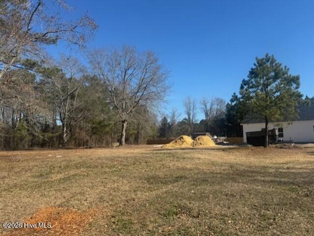 Photo of 2145 Hines Farm Road, Jacksonville, NC 28540 (MLS # 100551691)