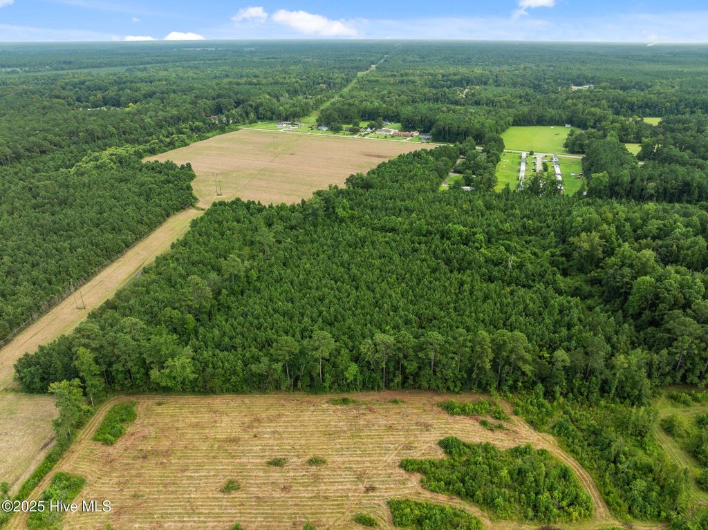 Photo of 3381 Memory Lane S, Burgaw, NC 28425 (MLS # 100523614)