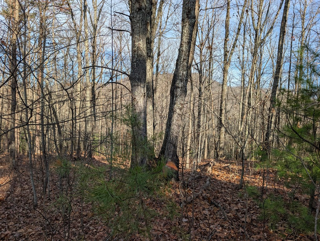 Lot 20 20 Wilderness Creek Way - Photo 3