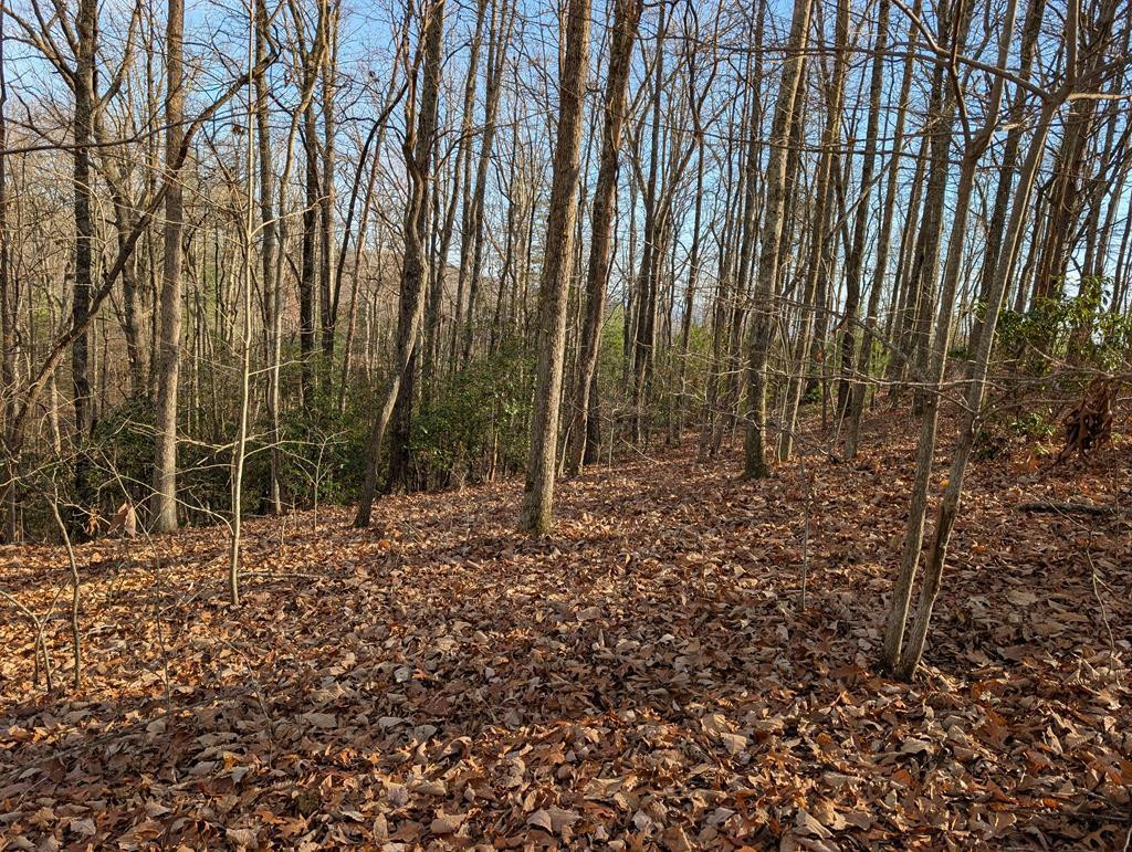Lot 20 20 Wilderness Creek Way - Photo 2