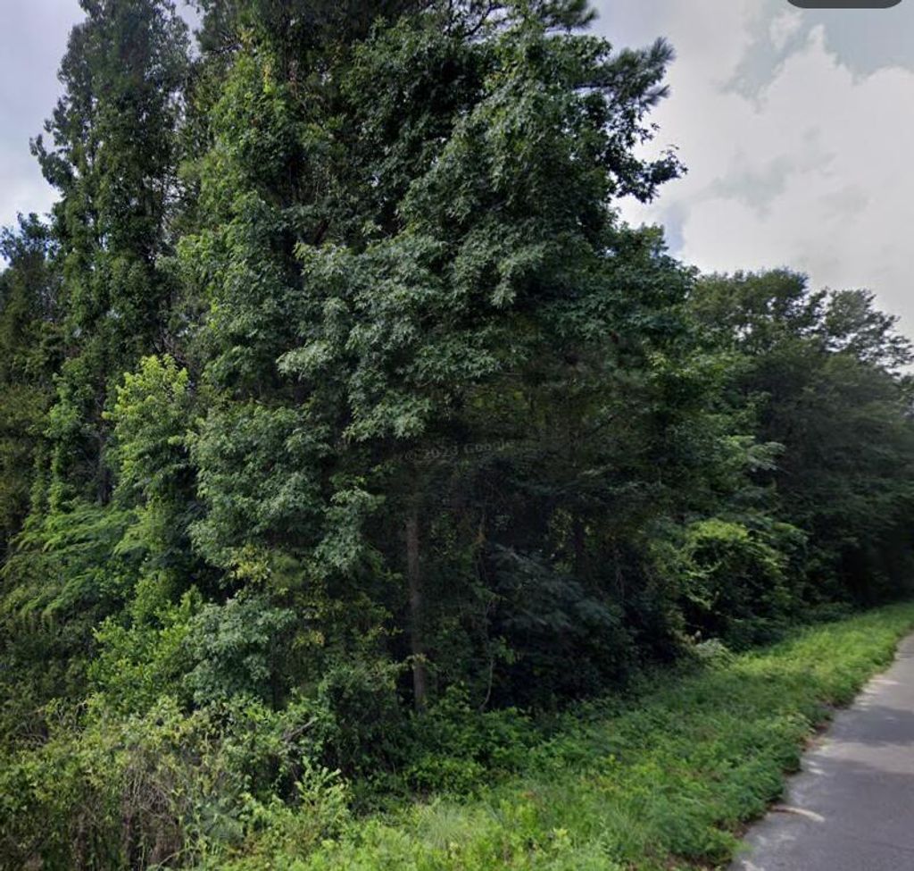 Photo of 57 Bradleyville Road, North Augusta, SC 29841 (MLS # 553751)