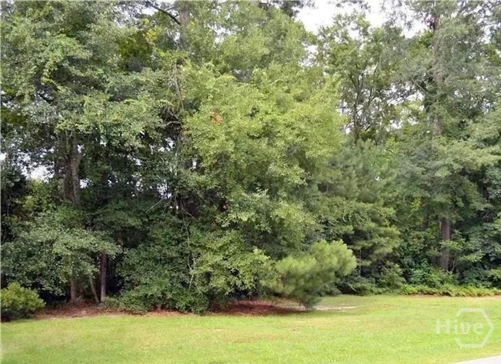 Photo of 14 Wedgefield Crossing, Savannah, GA 31405 (MLS # SA345163)