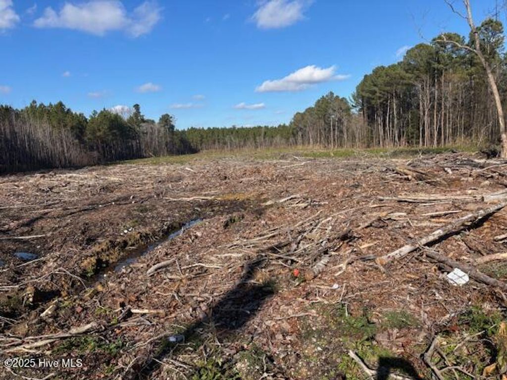 Photo of 0 Crepe Myrtle Court, Wilson, NC 27896 (MLS # 100543899)