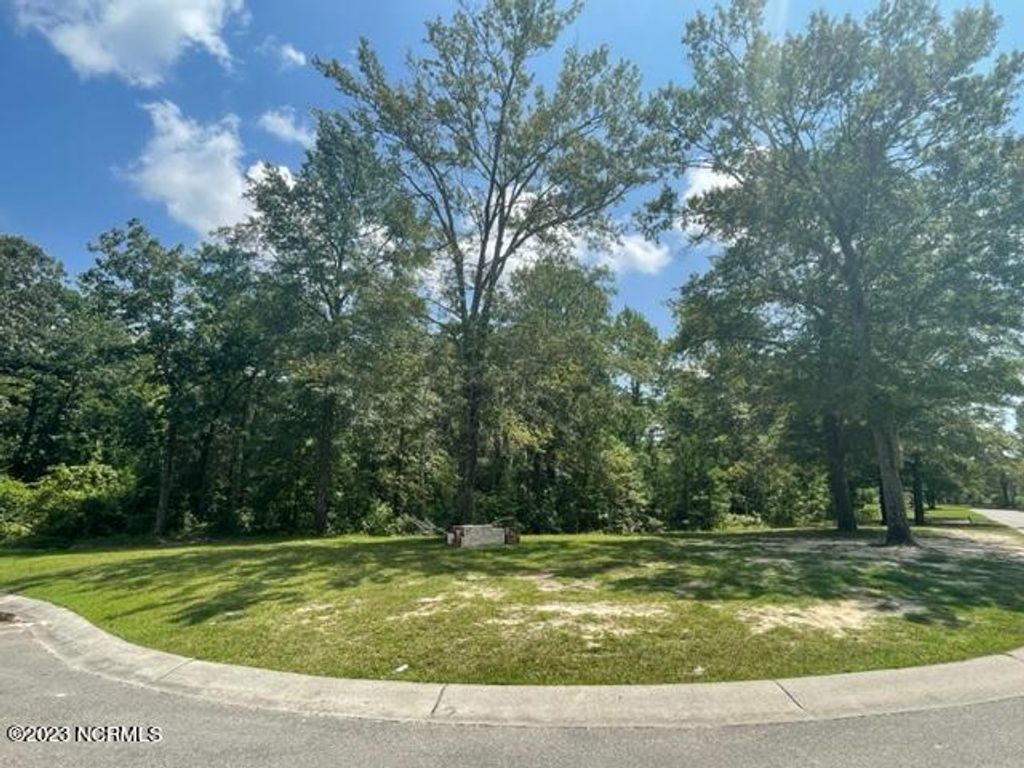 Photo of 3841 Hallmark Road NE, Leland, NC 28451 (MLS # 100399214)