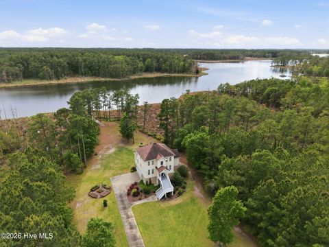 Photo of 223 Bailey Pointe Drive, Belhaven, NC 27810 (MLS # 100571331)