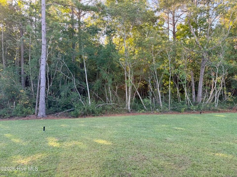 Tiny photo for 3431 Sandhill Crane Drive SW, Ocean Isle Beach, NC 28469 (MLS # 100611529)