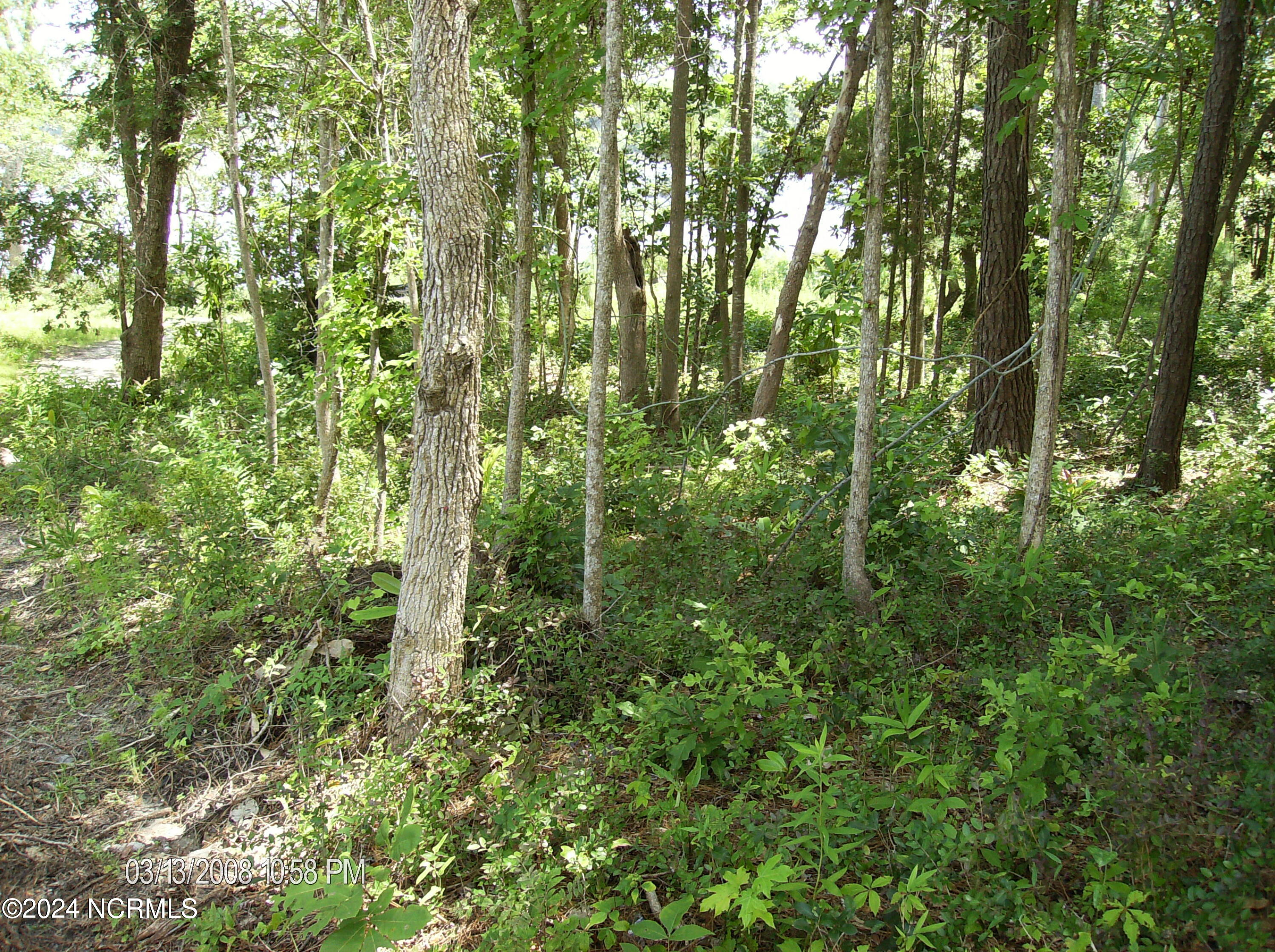 135 E High Bluff Drive