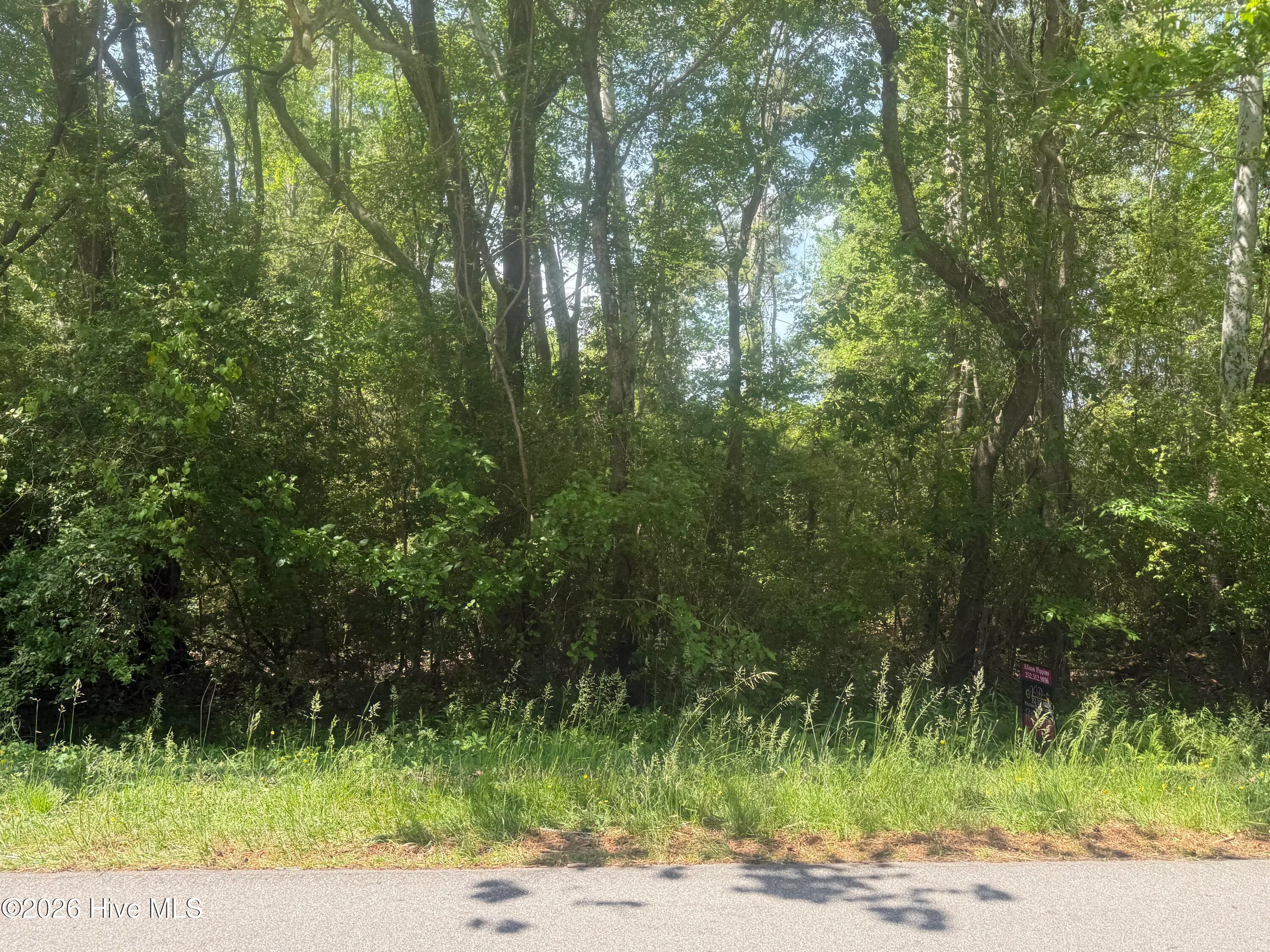 218 Colony Drive