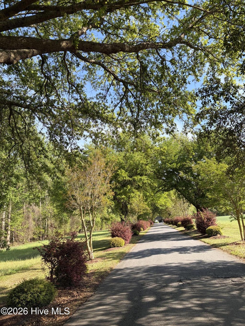 Photo of 0 Isalnd Drive, Chocowinity, NC 27817 (MLS # 100568562)