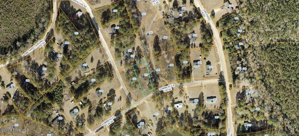 Photo of 576 Summerlea Circle SE, Bolivia, NC 28422 (MLS # 100551745)