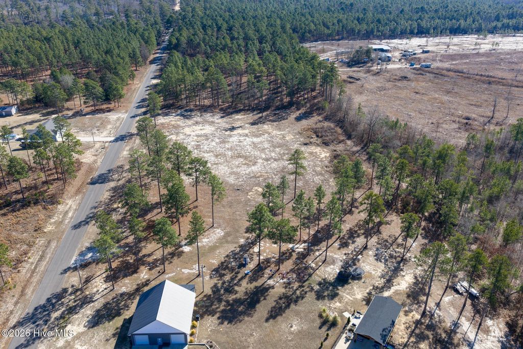 Photo of 828 Marks Creek Church Road, Hamlet, NC 28345 (MLS # 100550008)