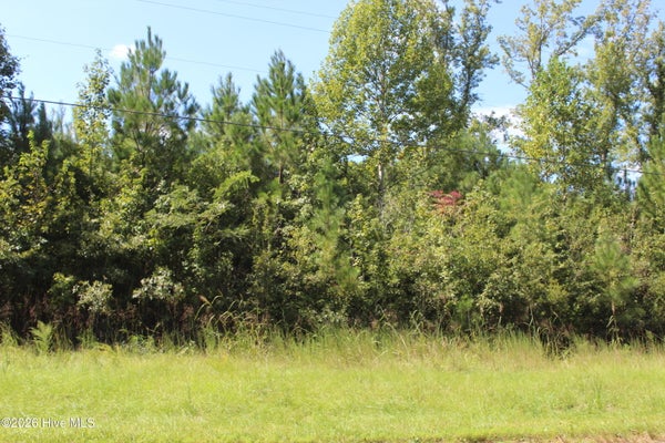 321 PINE CLIFF RD, HAVELOCK, NC 28532 - Image 52cf22608fdfbf9c4a8ff73b4f33f81d/3981915412