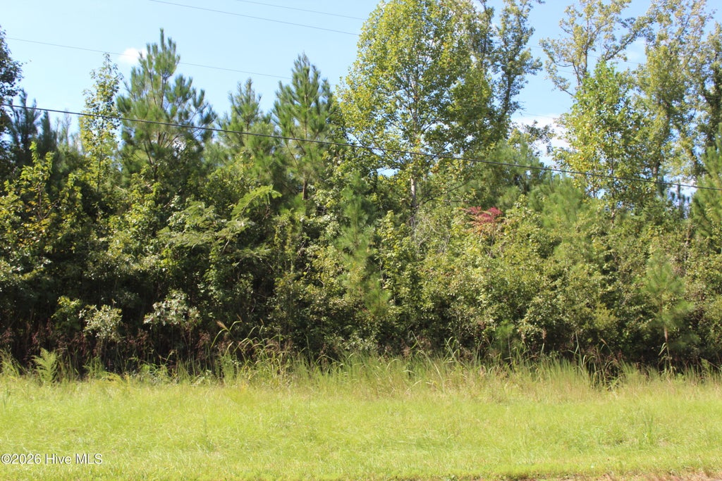 Photo of 321 Pine Cliff Road, Havelock, NC 28532 (MLS # 100606552)
