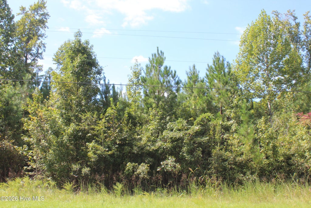 Photo of 321 Pine Cliff Road, Havelock, NC 28532 (MLS # 100606552)