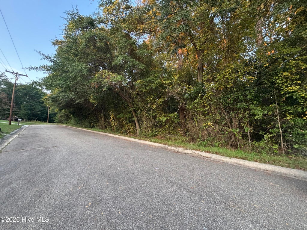 Photo of Tbd Mckinnon Road, Rockingham, NC 28379 (MLS # 100611216)