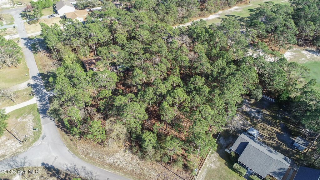 Photo of 1154 Twin Lakes Drive, Boiling Spring Lakes, NC 28461 (MLS # 100563492)