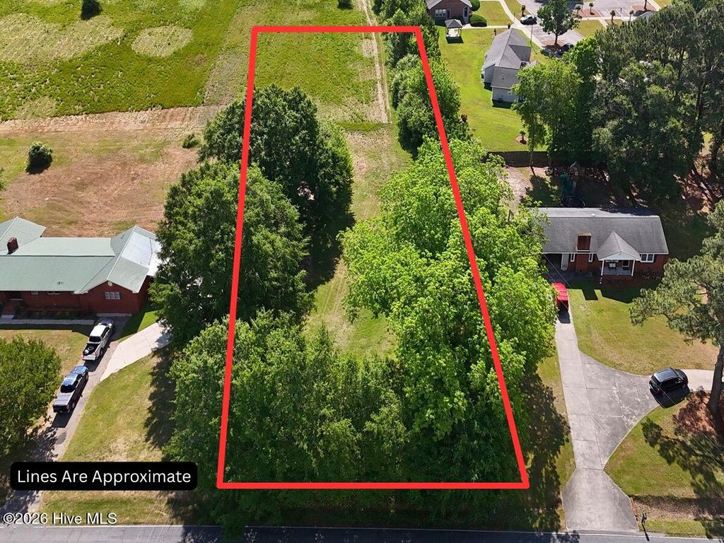 Photo of 0 Old Chinquapin Road, Beulaville, NC 28518 (MLS # 100571249)