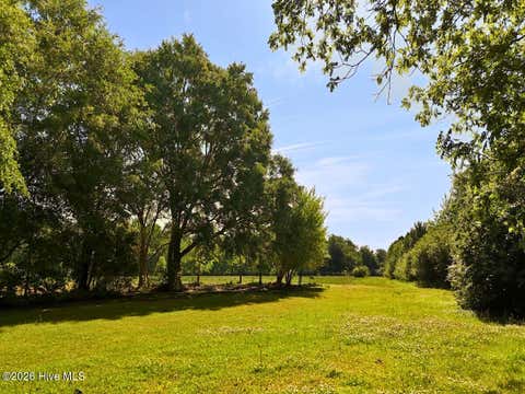 Vacant Land For Sale - Old Chinquapin Road<br/> Duplin County, Beulaville, NC 28518