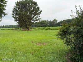 Photo of 5615 Oakley Road, Robersonville, NC 27871 (MLS # 100594585)