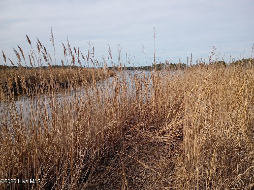 Photo of 25264 2nd Street, Aurora, NC 27806 (MLS # 100559397)