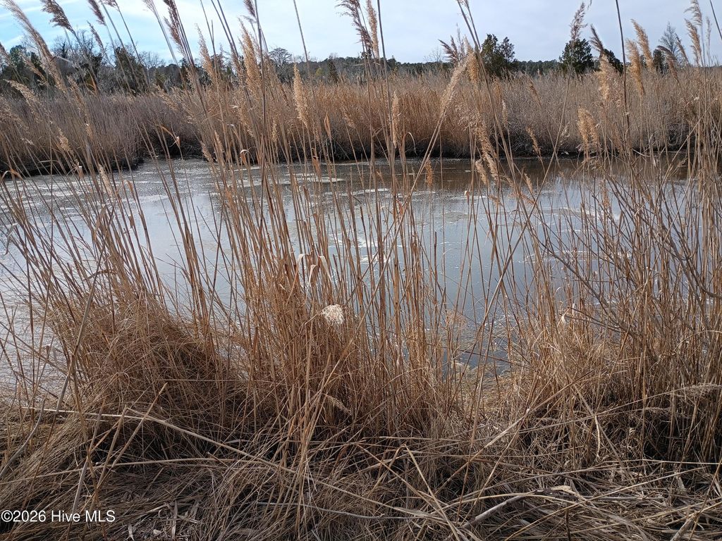 Photo of 25264 2nd Street, Aurora, NC 27806 (MLS # 100559397)