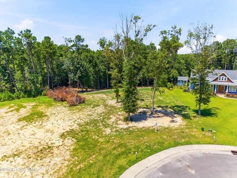 Tiny photo for 29 W Scarborough Court, Hampstead, NC 28443 (MLS # 100589823)