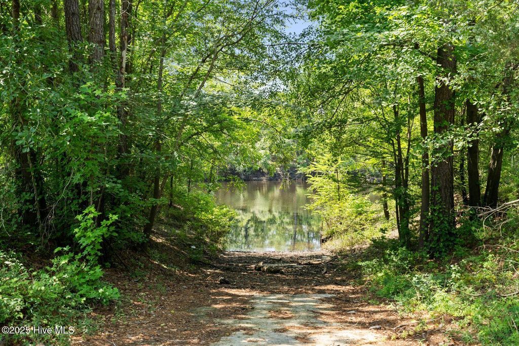 Photo of 364 Murray Turner Farm Road, Burgaw, NC 28425 (MLS # 100521843)