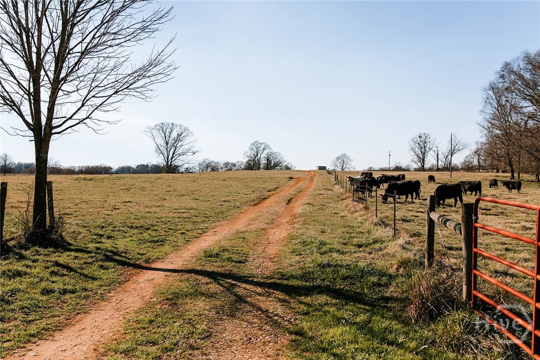 119A Ralph Bridges Road